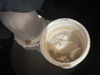 251D8761-D055-44F4-AEF8-DA4FE468A45F