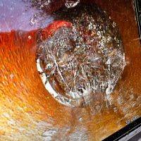 53498760-D8A5-4526-95EA-97EE900CB19B